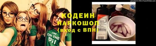 хмурый Алзамай