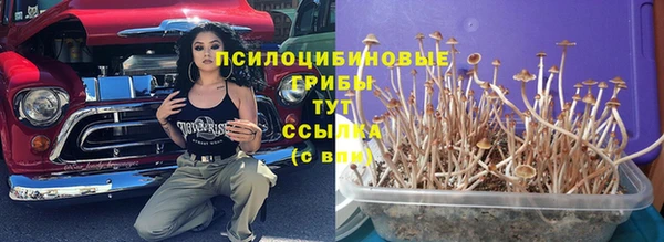 хмурый Алзамай