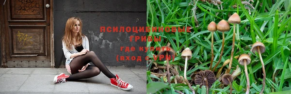 гашик Абдулино