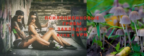 гашик Абдулино