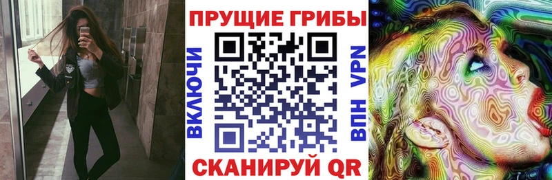 Галлюциногенные грибы Psilocybe Темников